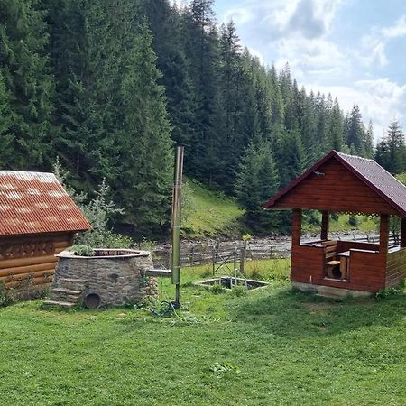 Крайня Хата Otel Synevyrsʼka Polyana Dış mekan fotoğraf