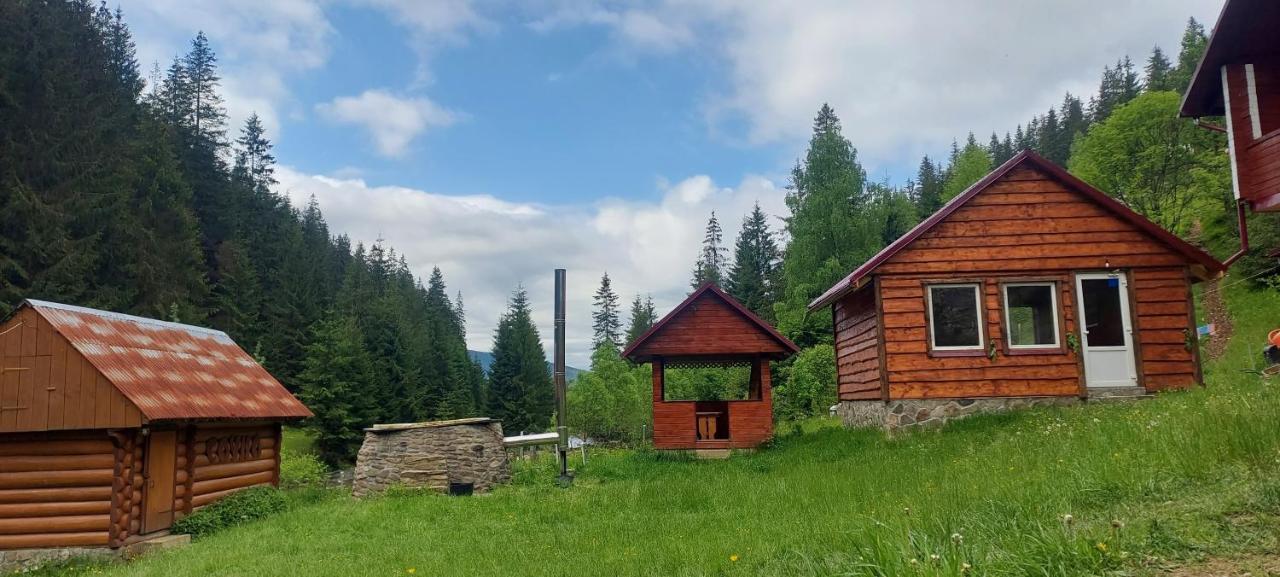 Крайня Хата Otel Synevyrsʼka Polyana Dış mekan fotoğraf