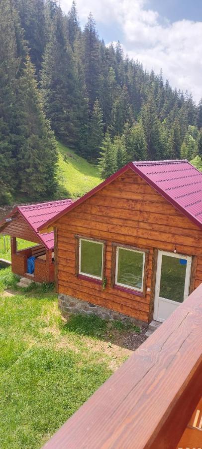 Крайня Хата Otel Synevyrsʼka Polyana Dış mekan fotoğraf